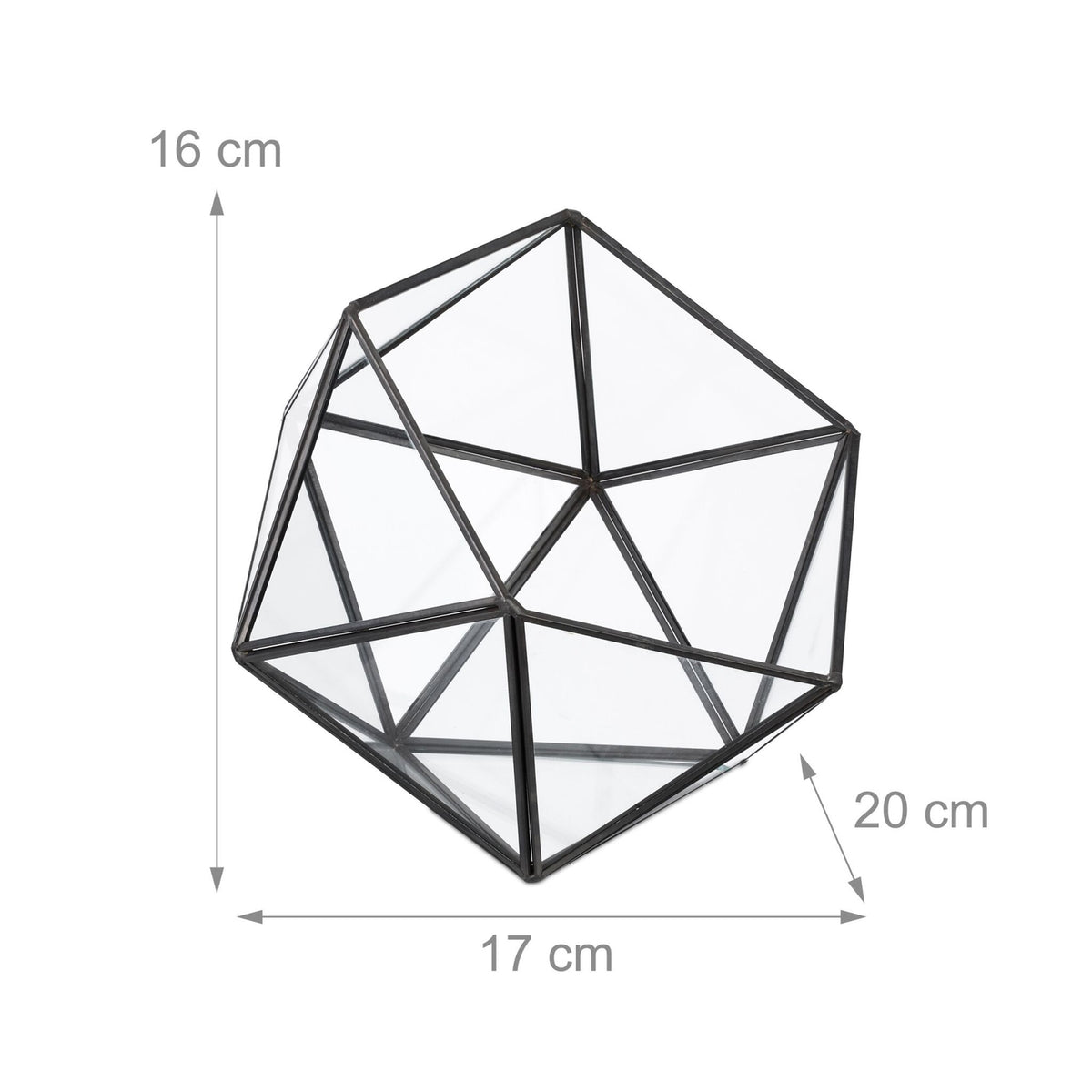 Geometric Glass Terrarium for Cacti and Succulents