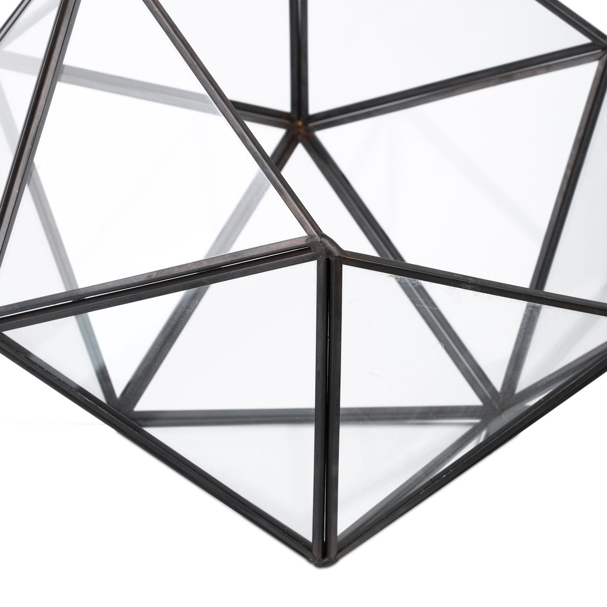 Geometric Glass Terrarium for Cacti and Succulents