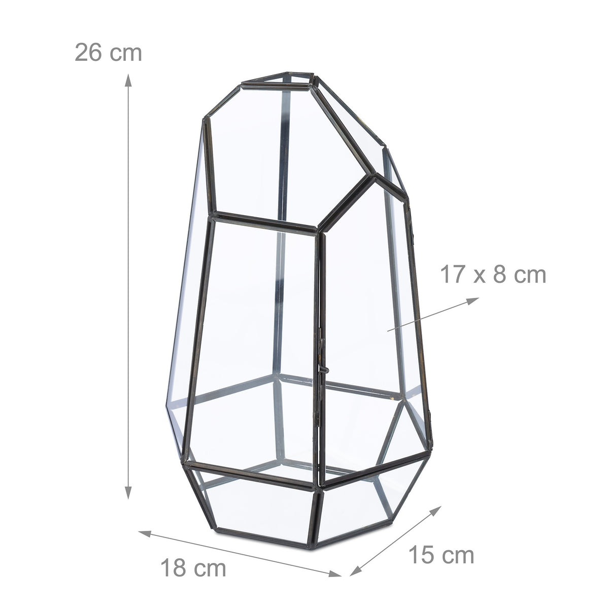 Geometric Glass Terrarium for Succulents & Air Plants