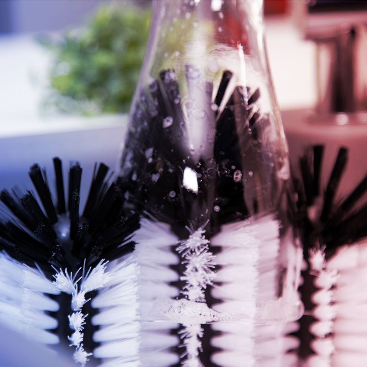 Glass Cleaning Brushes