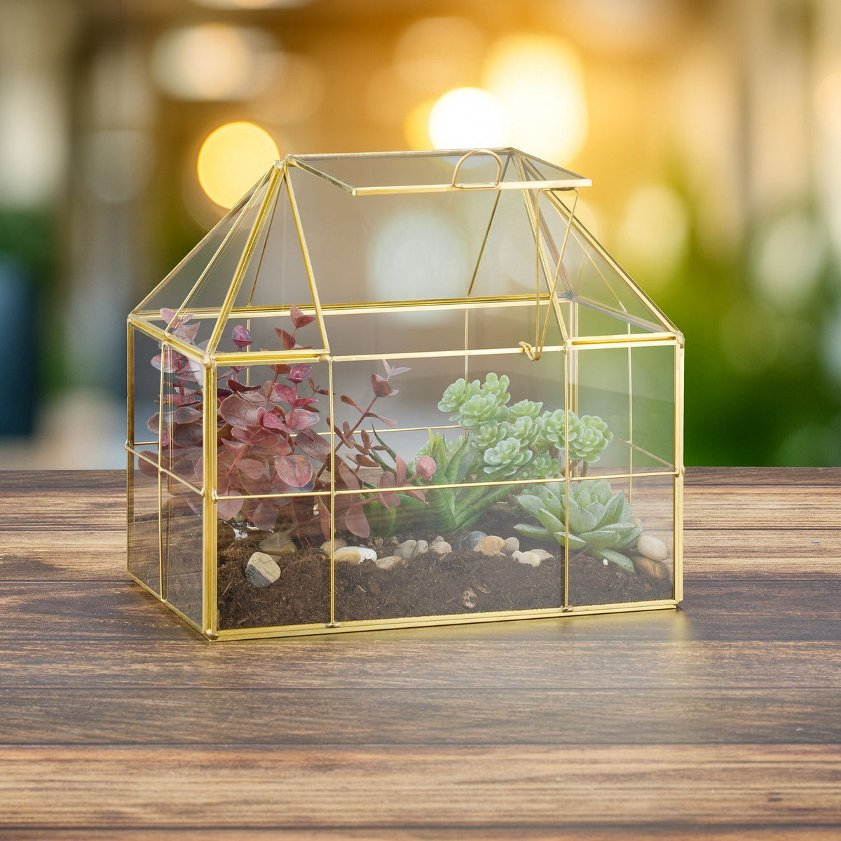 Glass House-Shaped Terrarium for Indoor Plants