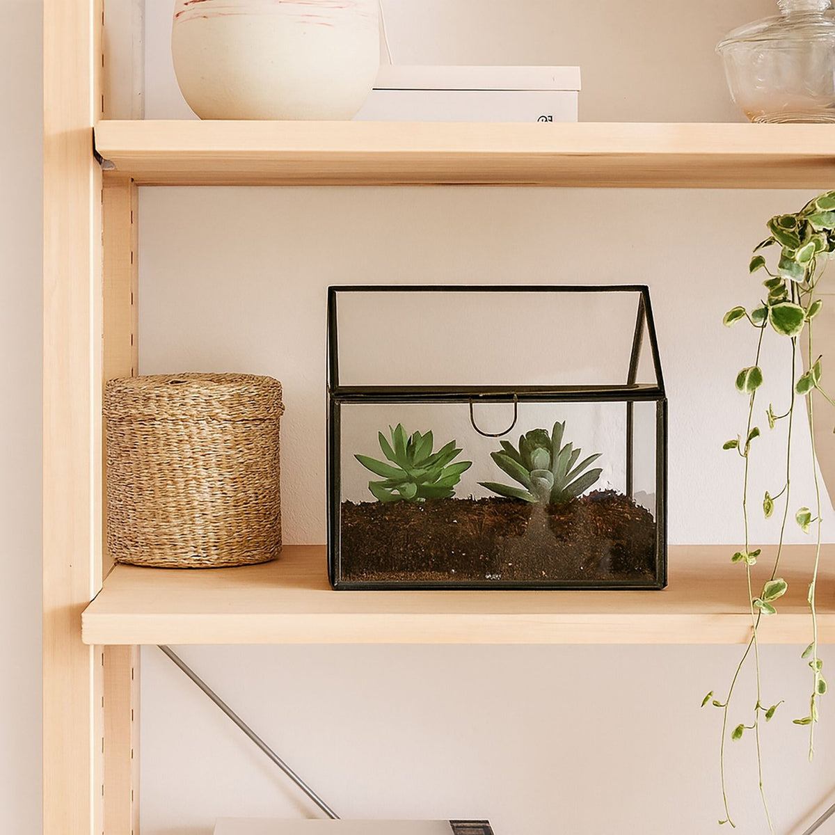 Glass Plant Terrarium, House Shape, Compact Size