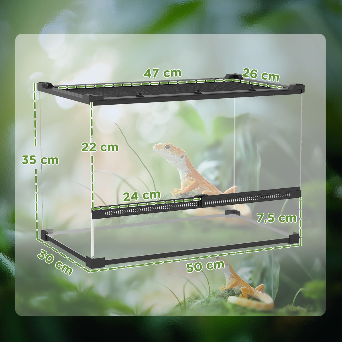 Glass Terrarium for Reptiles, Waterproof Base, Lock