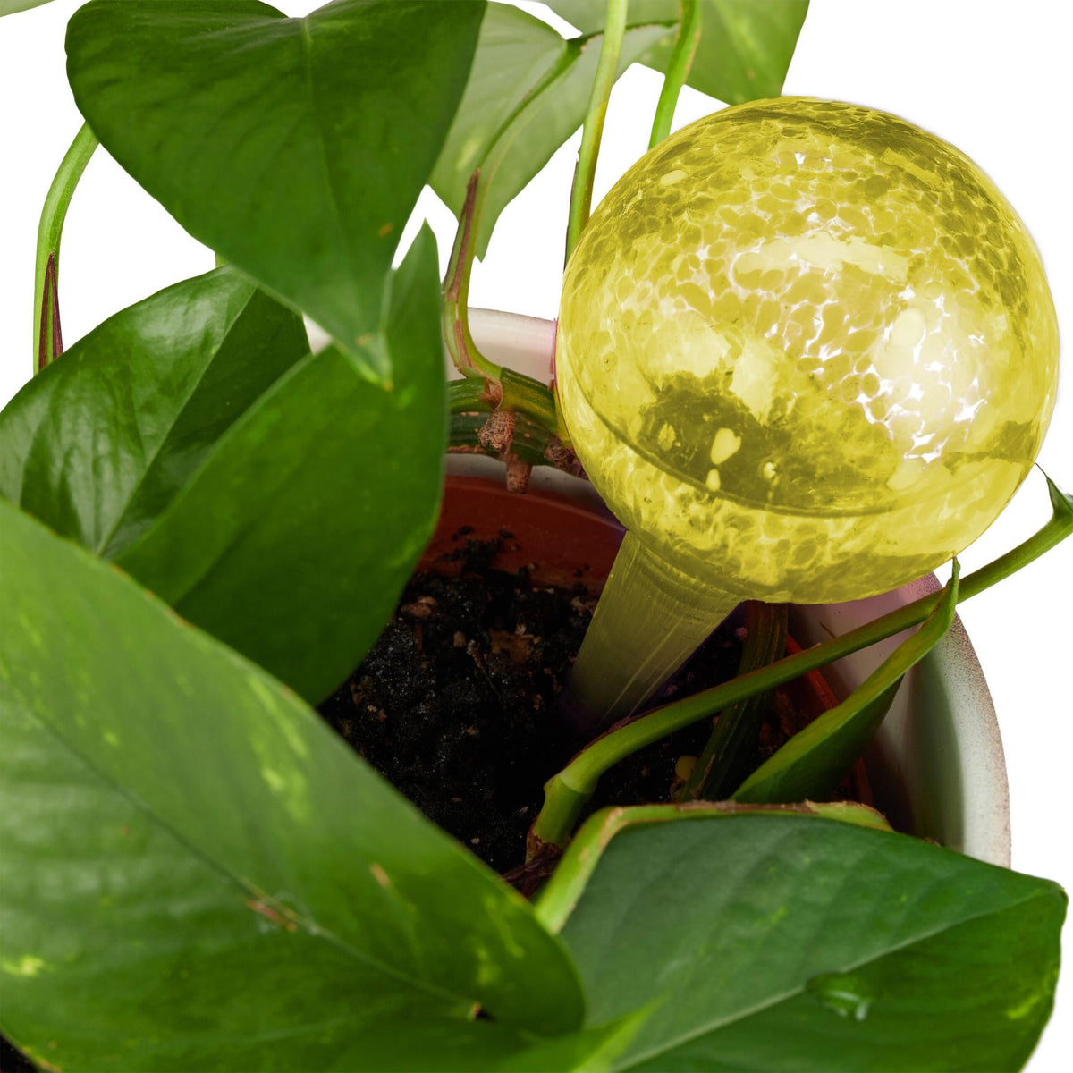 Glass water balls set of 4