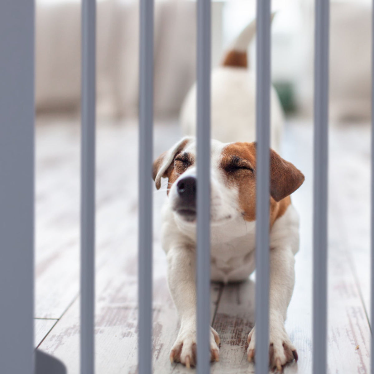 Gray security gate 92 cm