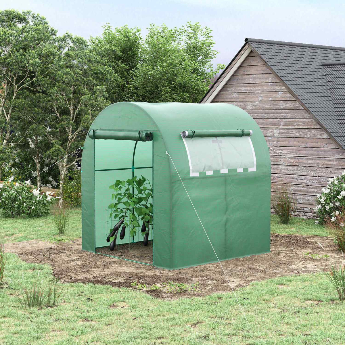 Greenhouse, 180 x 180 x 200 cm film greenhouse with roller door, UV protection, greenhouse, tomato house with side window, PE grid film, winterproof plant house for garden, balcony, green