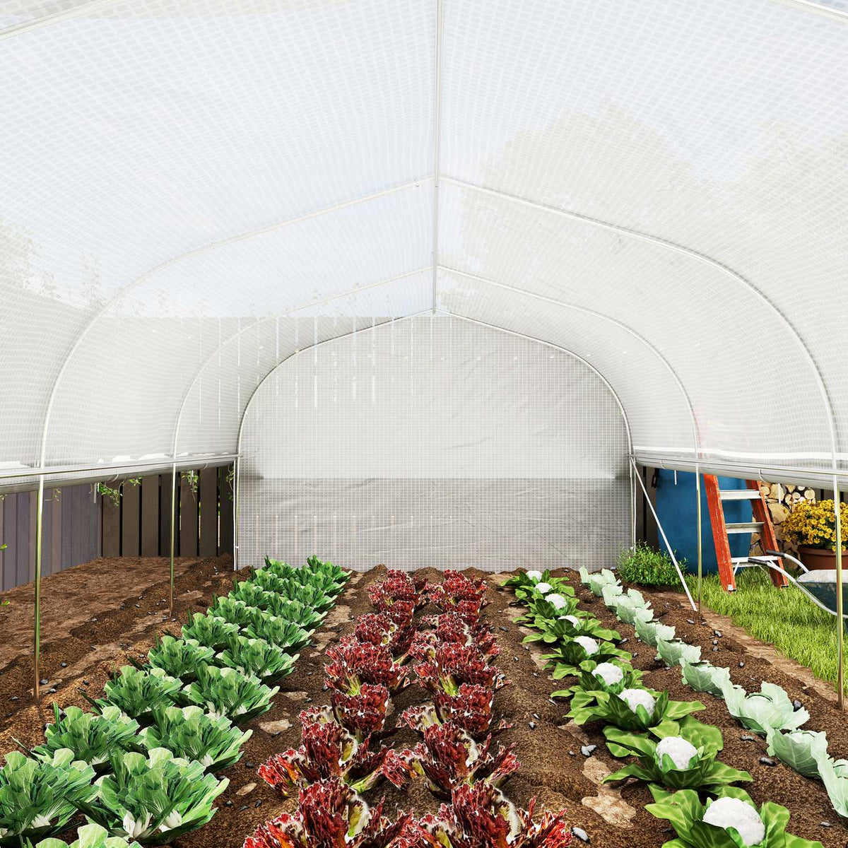 Greenhouse 6 x 3 x 2 m film greenhouse with 8 windows and doors, roll-up side walls, UV-resistant film tunnel, tomato house with galvanized steel frame, white