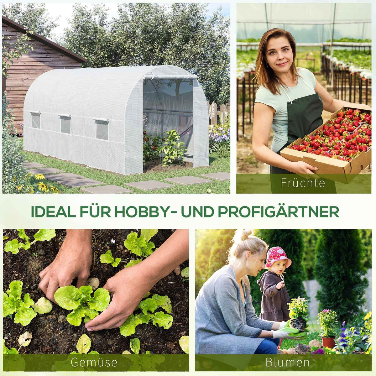 Greenhouse Film Greenhouse Greenhouse Plant House Films 450X200X200 Cm