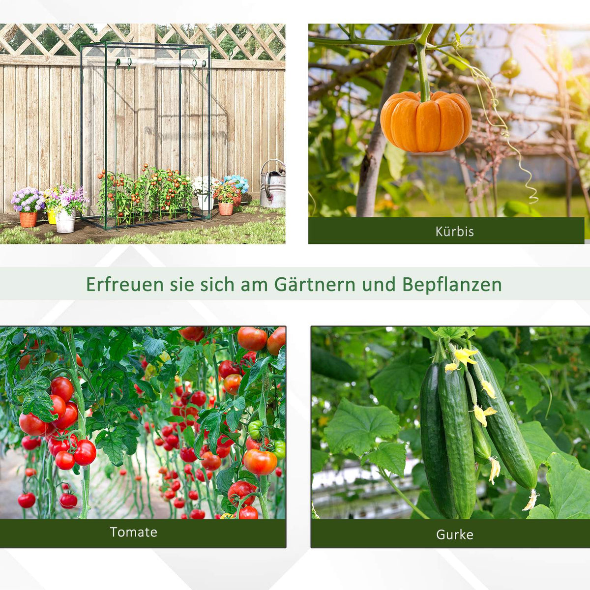Greenhouse Tomato House Cold Frame With Roll Up Door Steel Plastic Transparent 100X50X150Cm