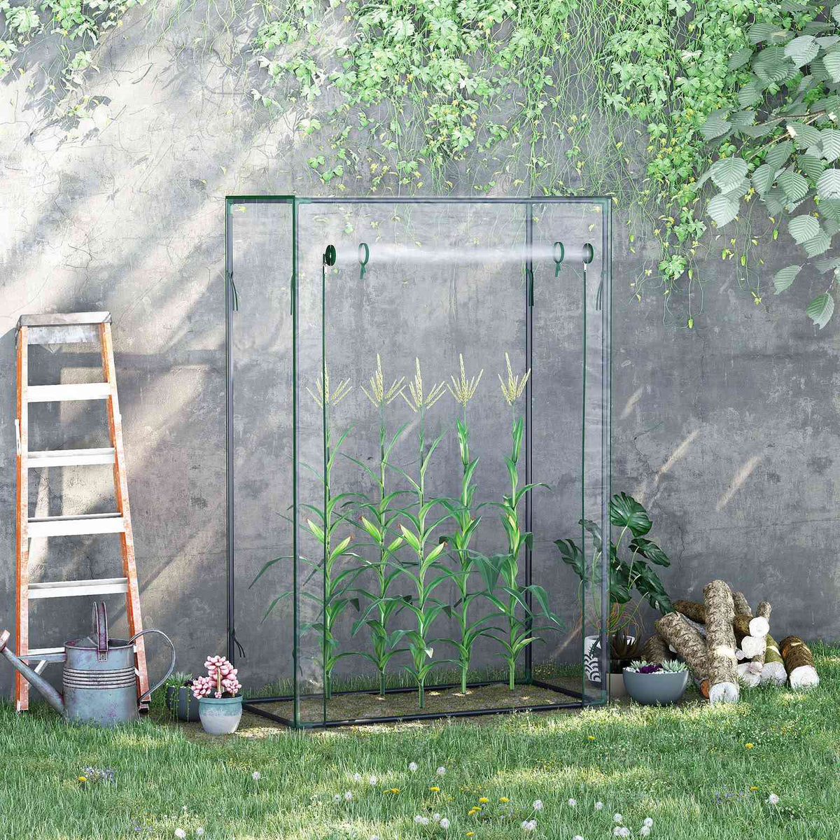 Greenhouse Tomato House Cold Frame With Roll Up Door Steel Plastic Transparent 100X50X150Cm
