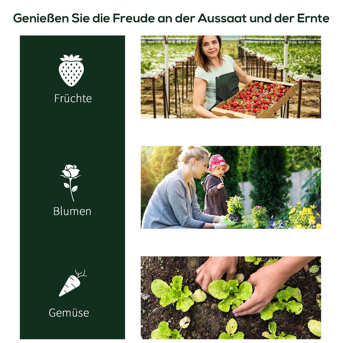 Greenhouse With Door, Cold Frame, Plant Raising, Steel Pvc, 250X100X80Cm