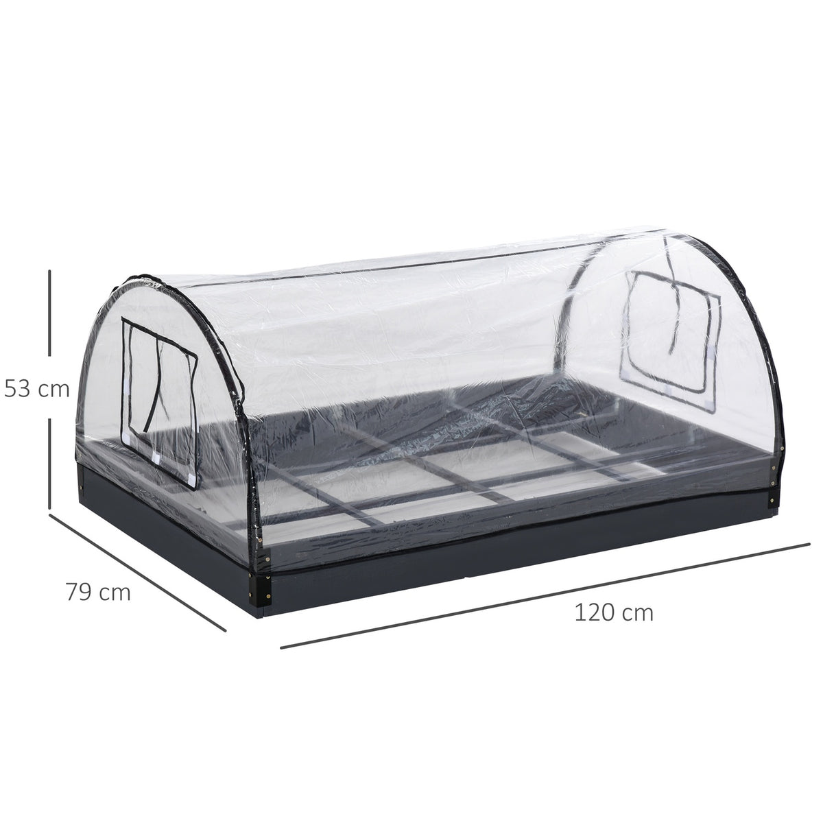 Greenhouse With Window, 12 Grids, For Tomatoes, Cold Frame Made Of Pvc & Steel, Transparent, 120X79X53Cm