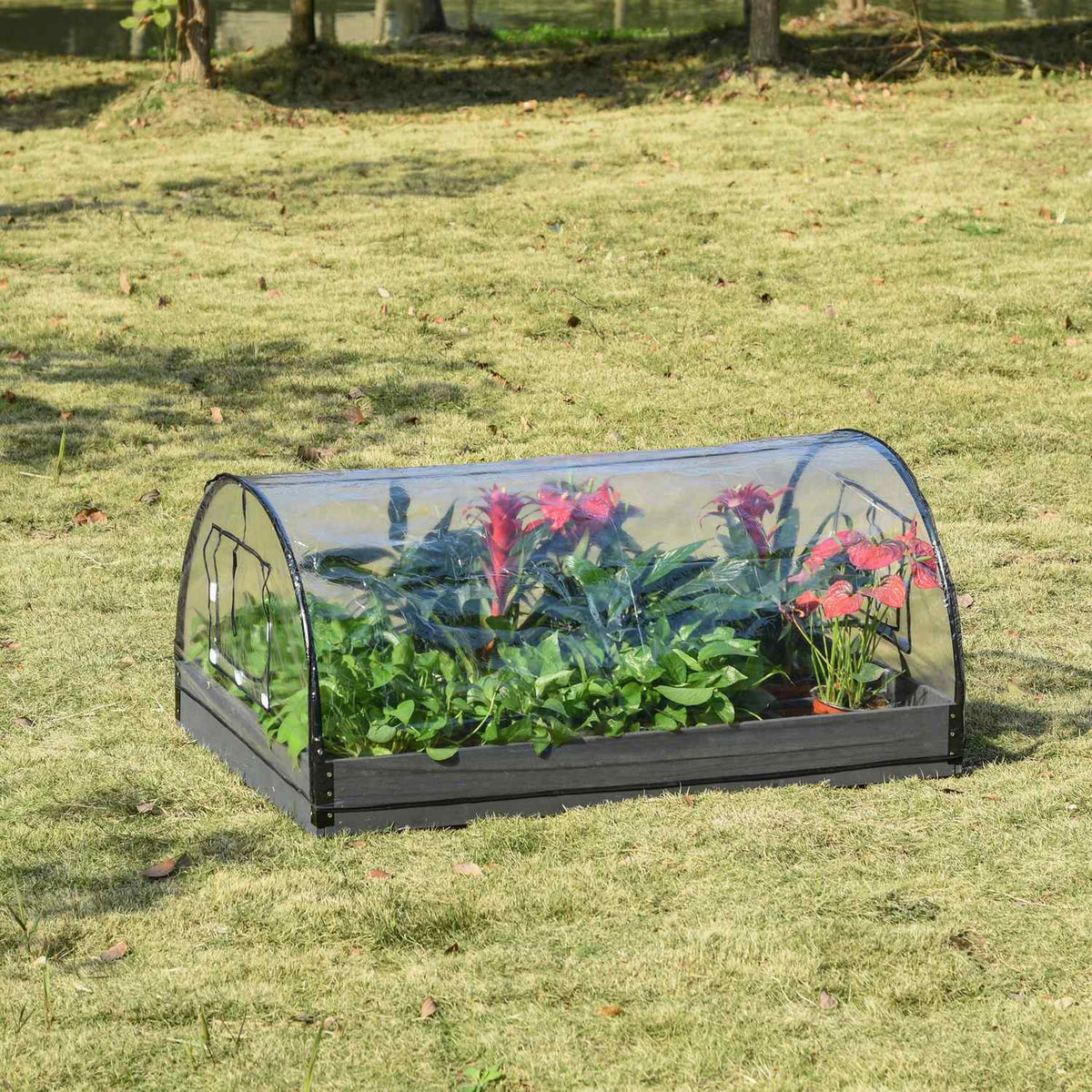Greenhouse With Window, 12 Grids, For Tomatoes, Cold Frame Made Of Pvc & Steel, Transparent, 120X79X53Cm