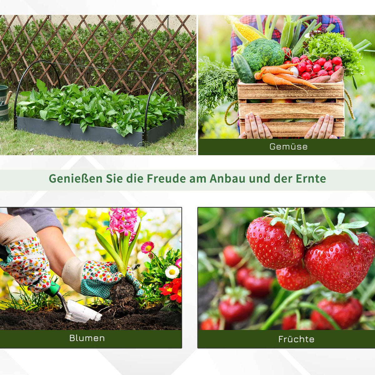 Greenhouse With Window, 12 Grids, For Tomatoes, Cold Frame Made Of Pvc & Steel, Transparent, 120X79X53Cm