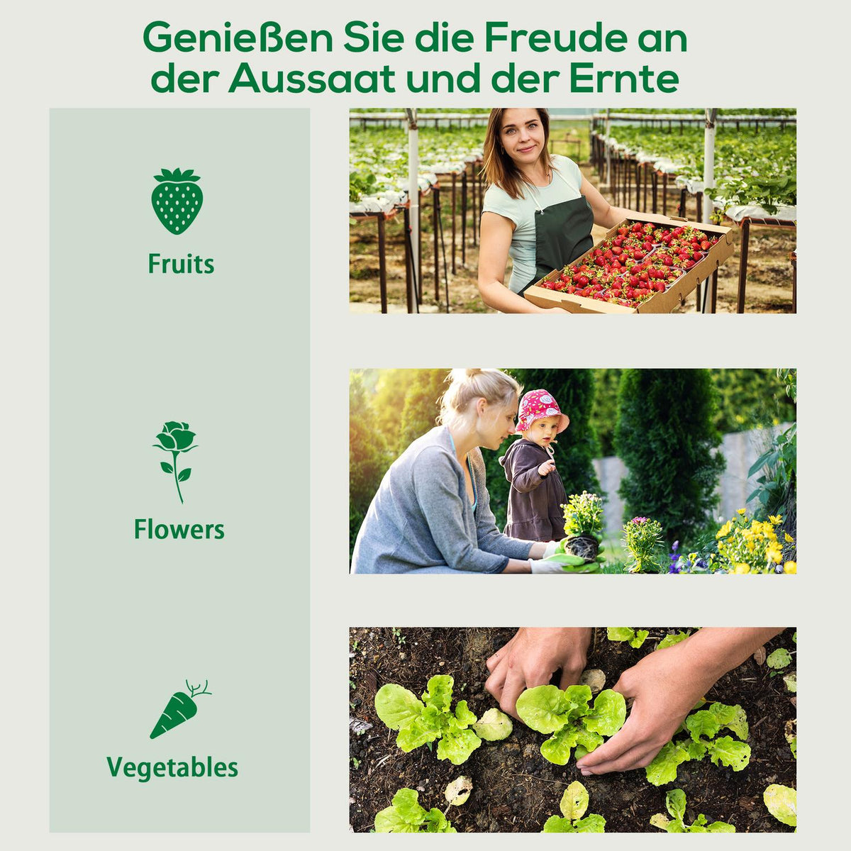 Greenhouse film greenhouse 200x68x196cm with roller door & side window, windproof, steel & PE, ideal for garden plants