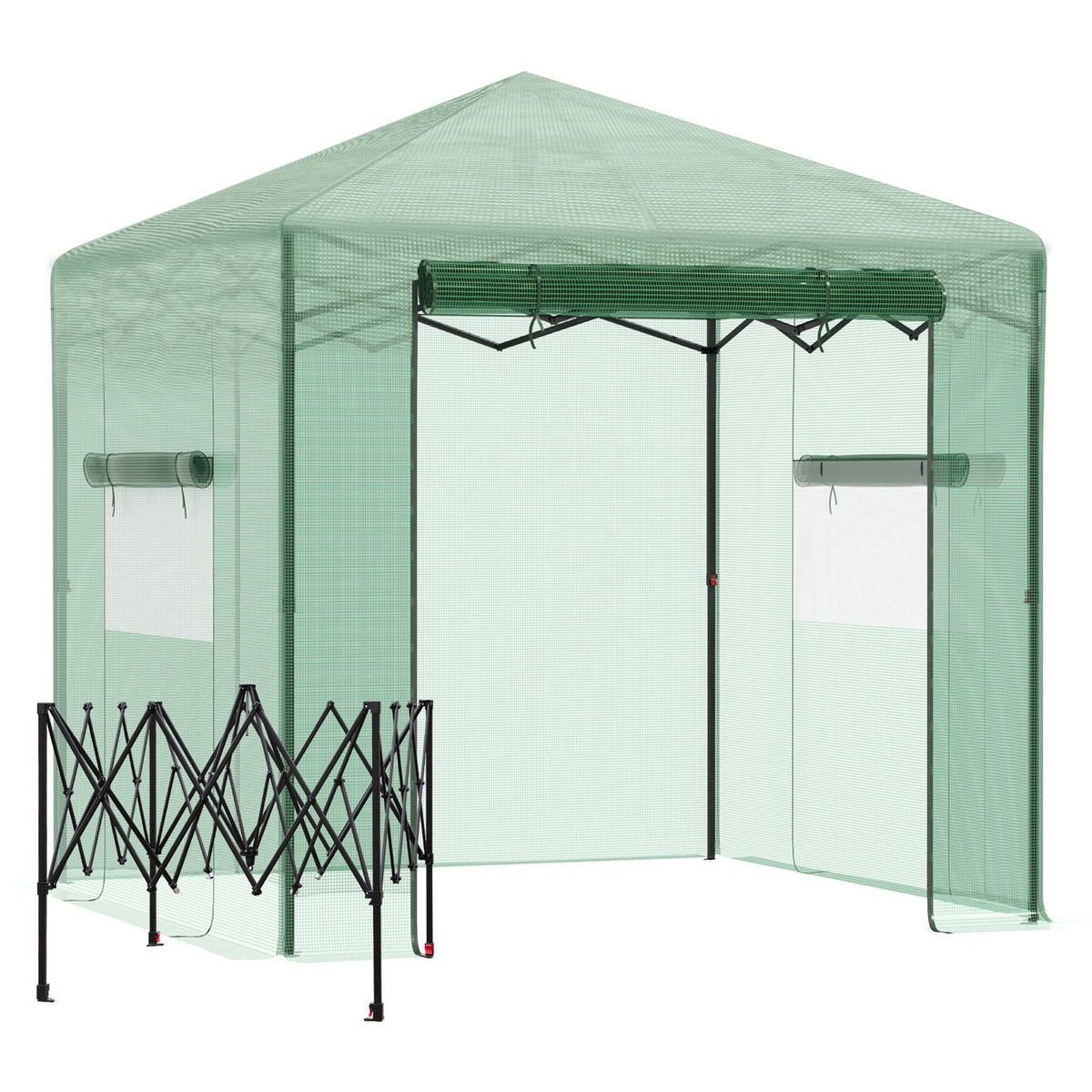 Greenhouse greenhouse tomato house with door and window for rolling up, PE steel dark green 238 x 178 x 240 cm for optimal plant cultivation