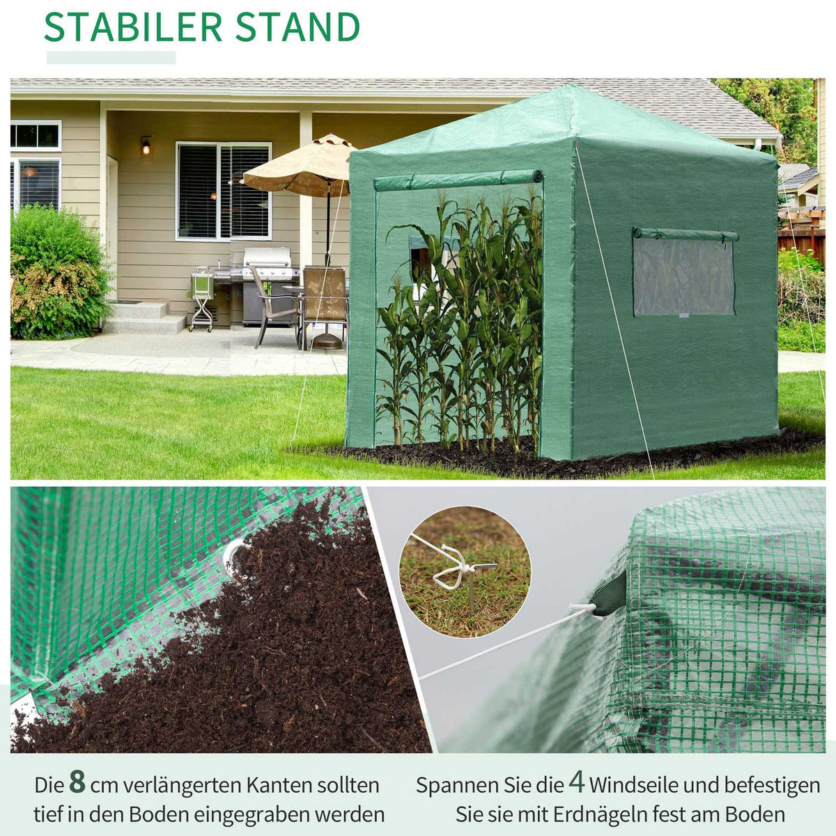 Greenhouse greenhouse tomato house with door and window for rolling up, PE steel dark green 238 x 178 x 240 cm for optimal plant cultivation