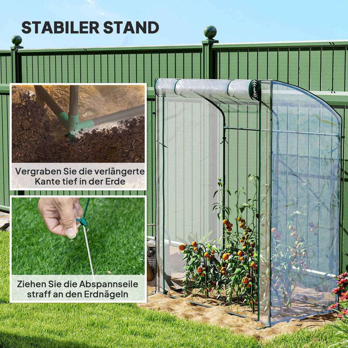 Greenhouse with door, curved roof, winterproof, foil greenhouse made of steel, greenhouse for balcony, garden, tomato house 128 x 70 x 170 cm, tomato greenhouse for tomatoes, flowers, transparent