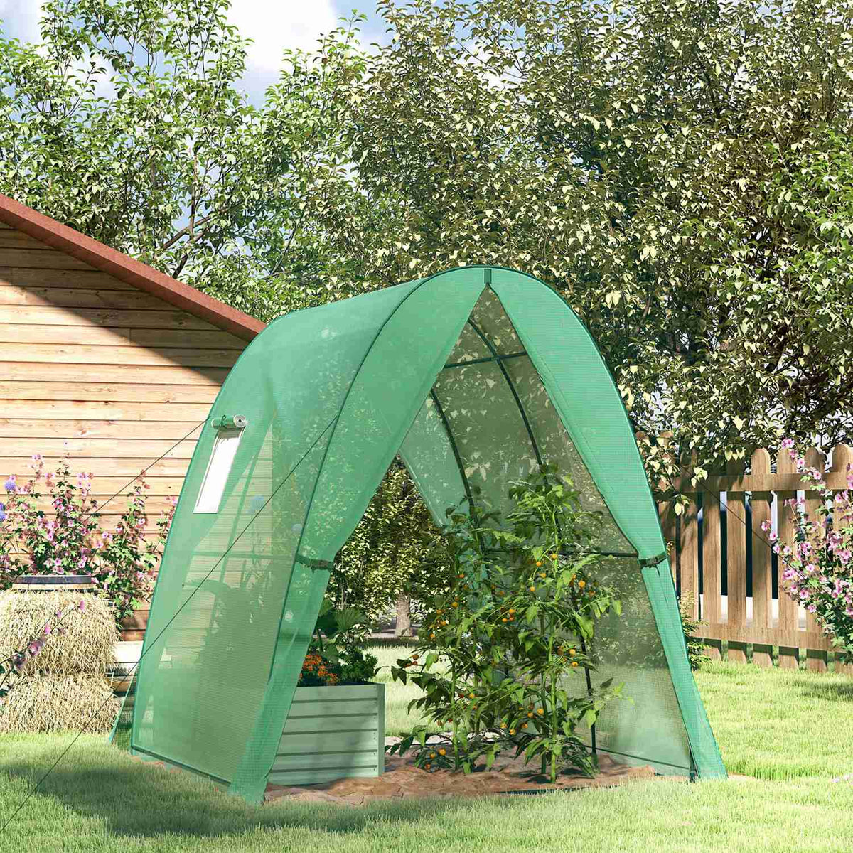Greenhouse with rolling door, 2 windows, winterproof steel foil greenhouse, greenhouse for balcony, garden, tomato house 180 x 180 x 200 cm, tomato greenhouse for tomatoes, vegetables, flowers, green