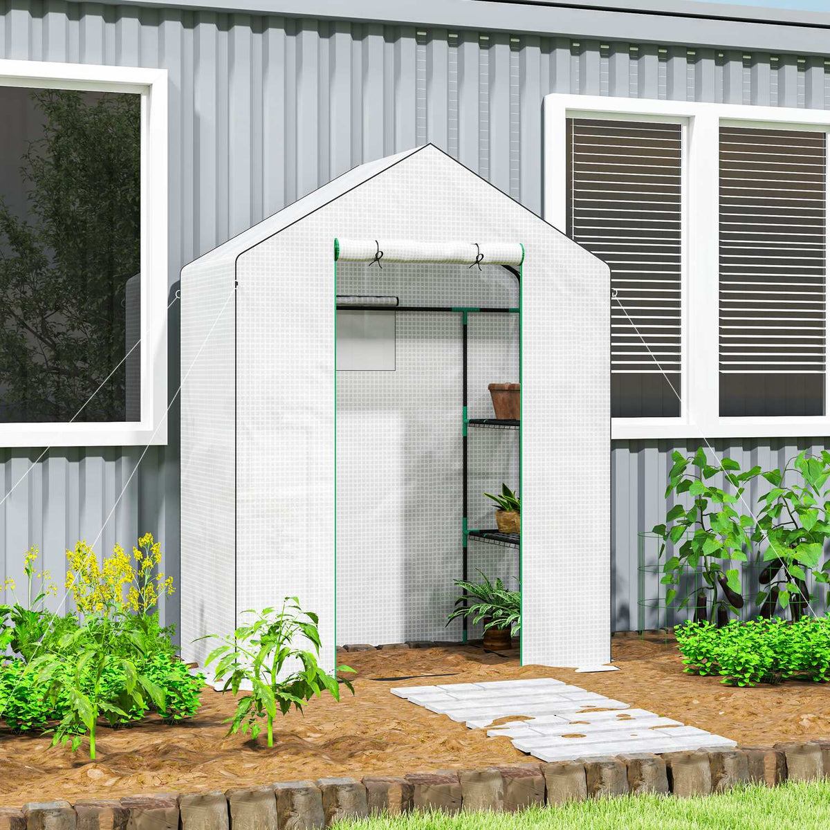 Greenhouse with rolling door, windows, shelves, winterproof steel foil greenhouse, greenhouse for balcony, garden, tomato house 143 x 74 x 190 cm, tomato greenhouse for tomatoes, vegetables, white