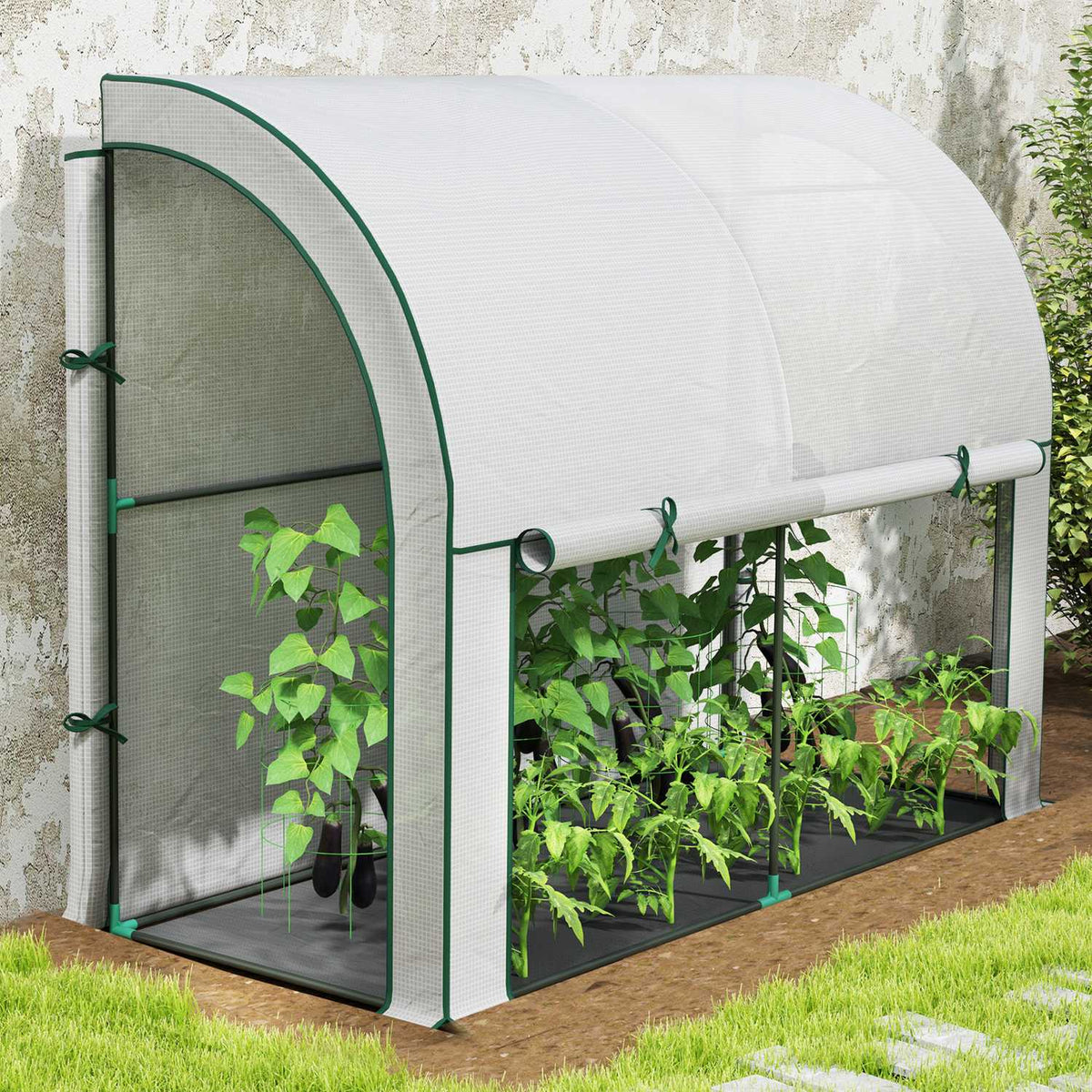 Greenhouse with rolling door, winterproof film greenhouse made of steel, greenhouse for balcony, garden, tomato house with UV protection 200x80x157cm tomato greenhouse for vegetables flowers plants white