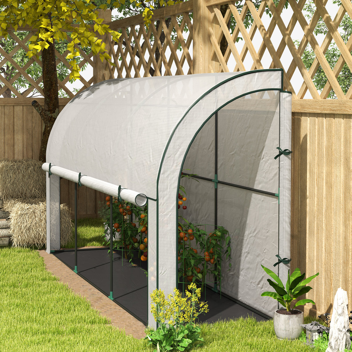 Greenhouse with rolling door, winterproof film greenhouse made of steel, greenhouse for balcony, garden, tomato house with UV protection 300x80x157cm tomato greenhouse for vegetables flowers plants white
