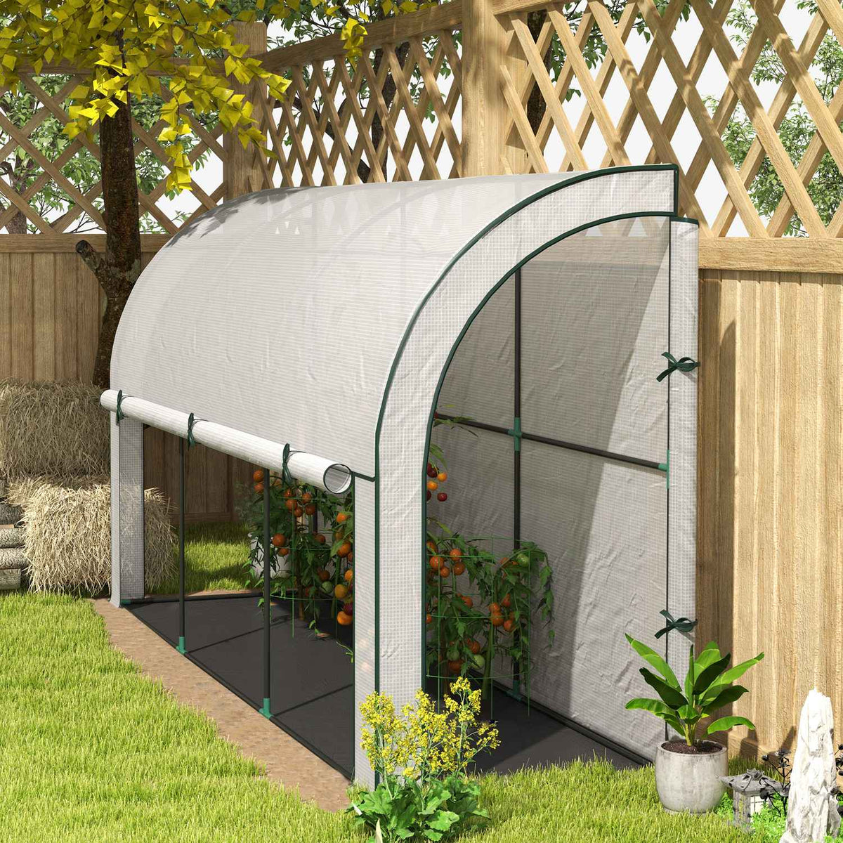Greenhouse with rolling door, winterproof film greenhouse made of steel, greenhouse for balcony, garden, tomato house with UV protection 300x80x157cm tomato greenhouse for vegetables flowers plants white