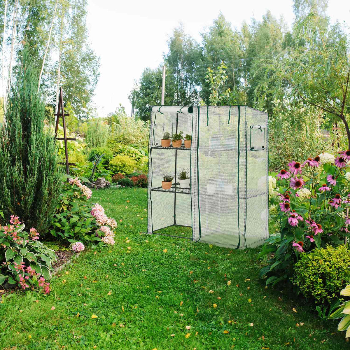 Greenhouse with shelves
