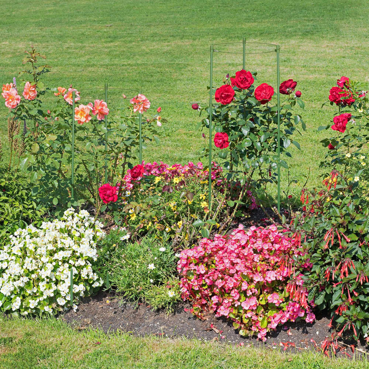 Green plant supports 60 cm, set of 4