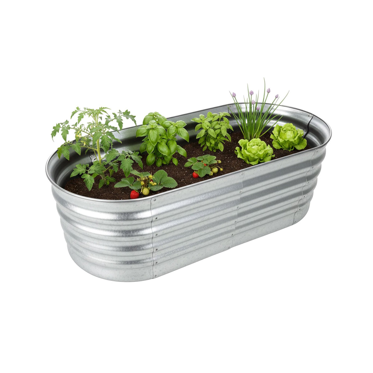Half-Round Galvanized Metal Raised Garden Bed