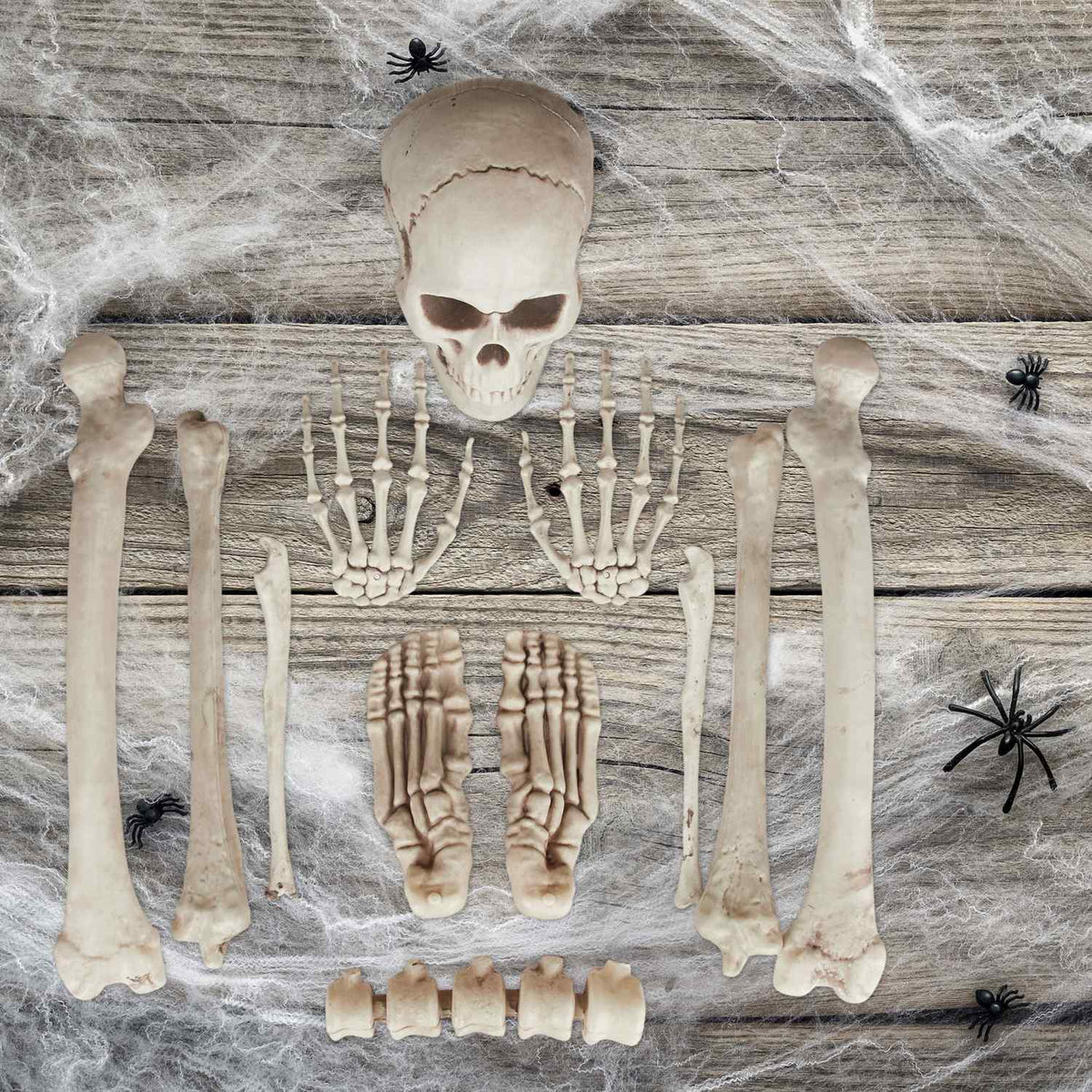 Halloween Skeleton Decoration Set – 12 Bones