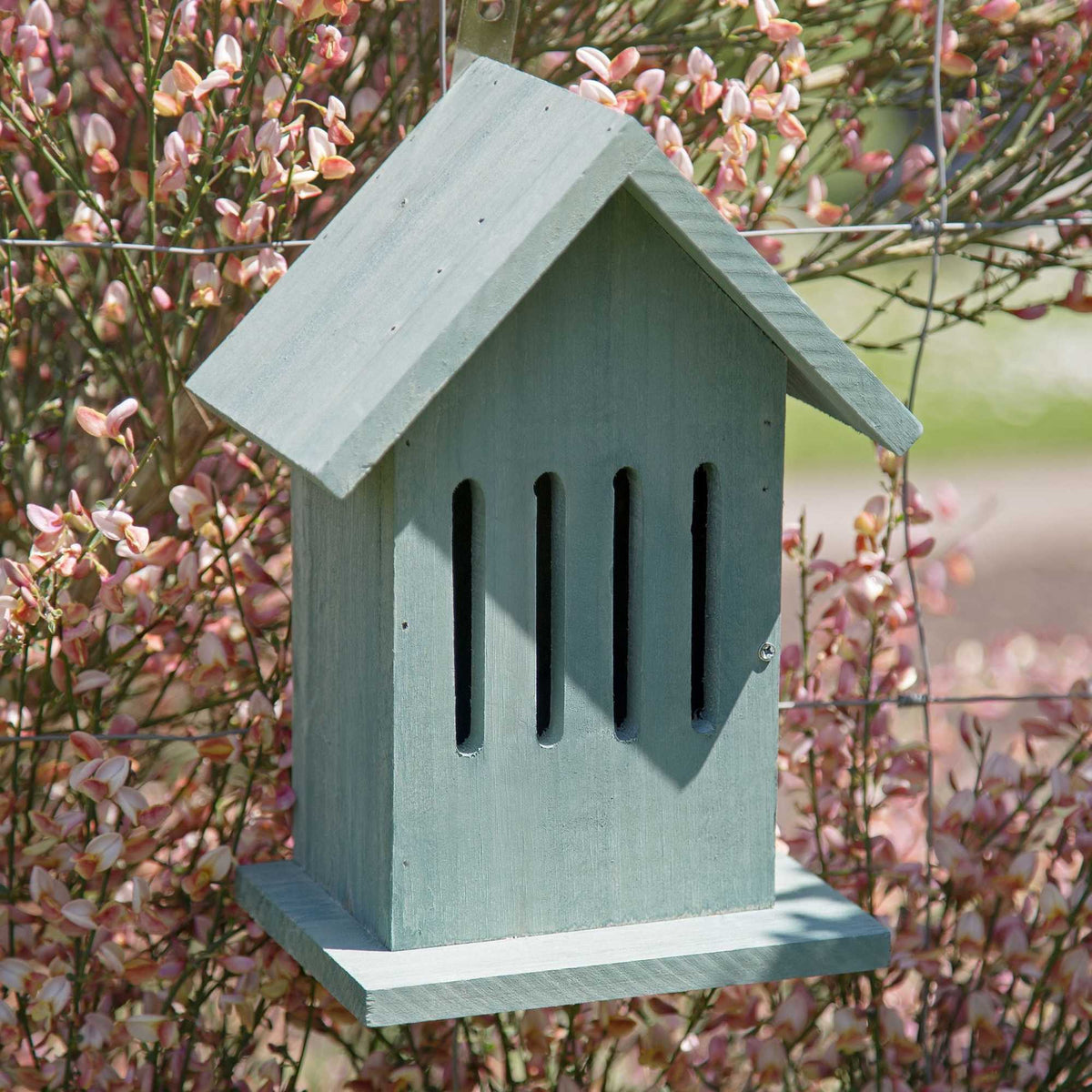Hanging butterfly house in 2 colors