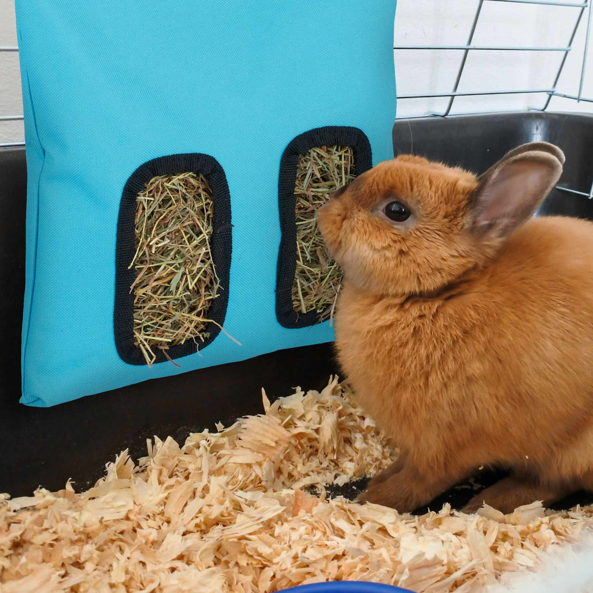 Hay bag for small animals