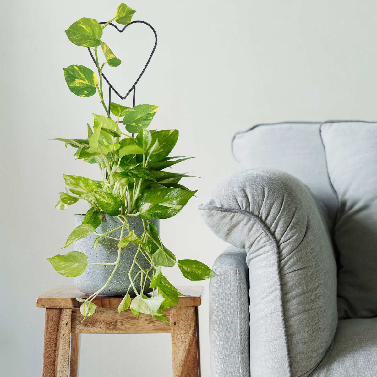 Heart climbing supports in a set of 4