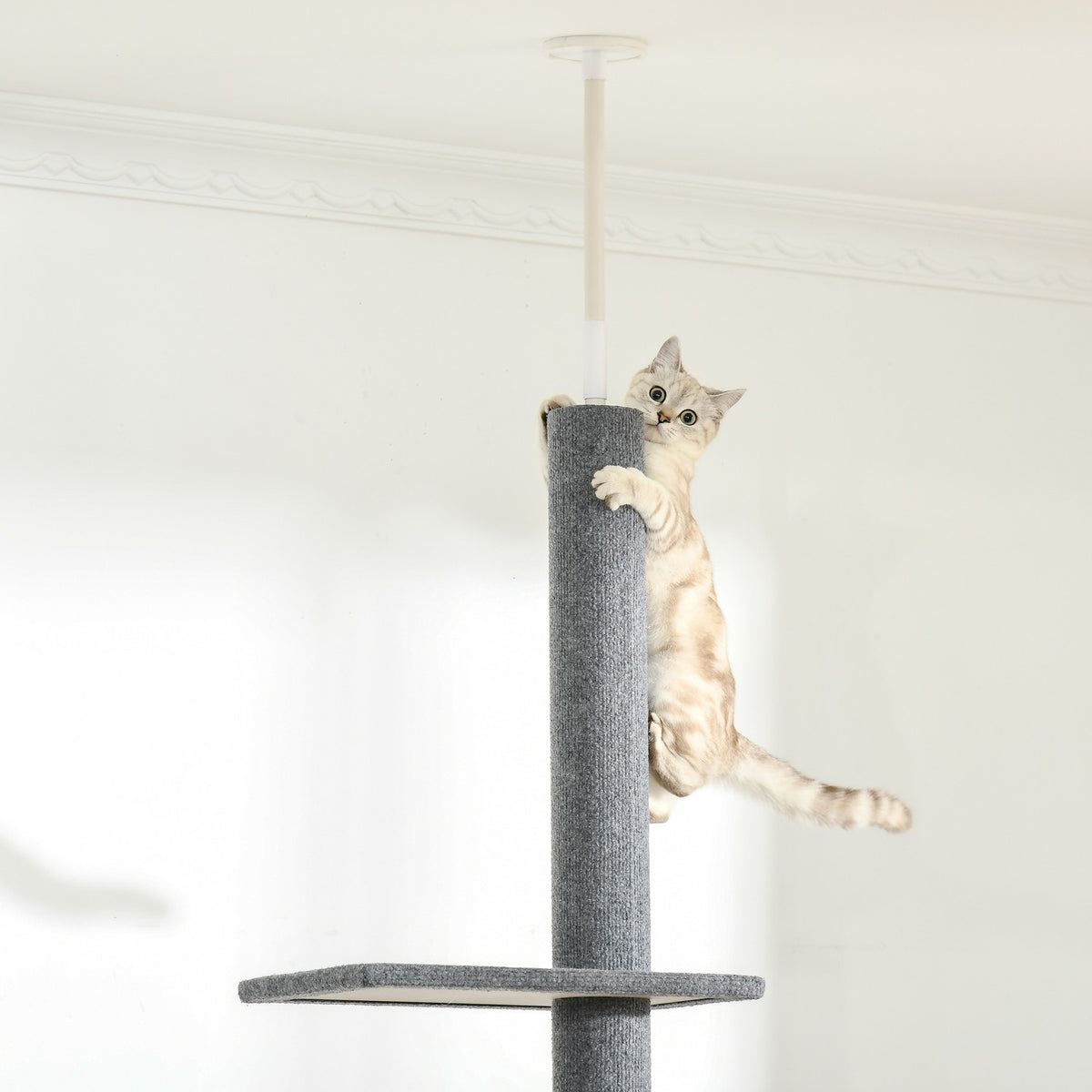 Height-Adjustable Scratching Post Climbing Tree For Cats, Play Tree, Gray, 43X27X228-260Cm