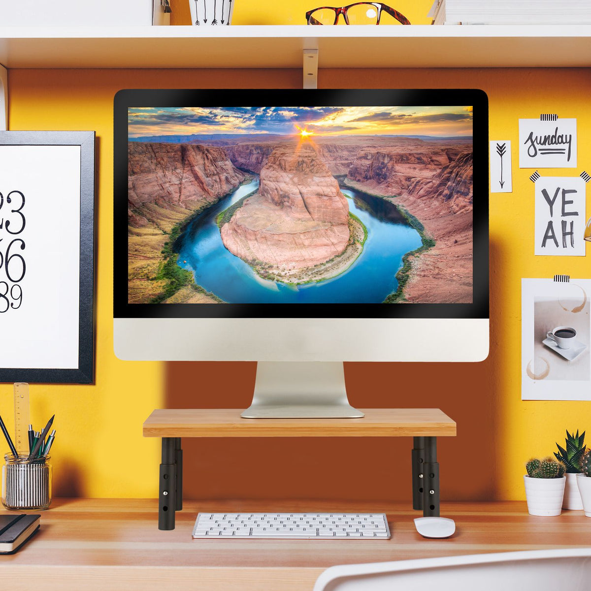 Height adjustable monitor stand
