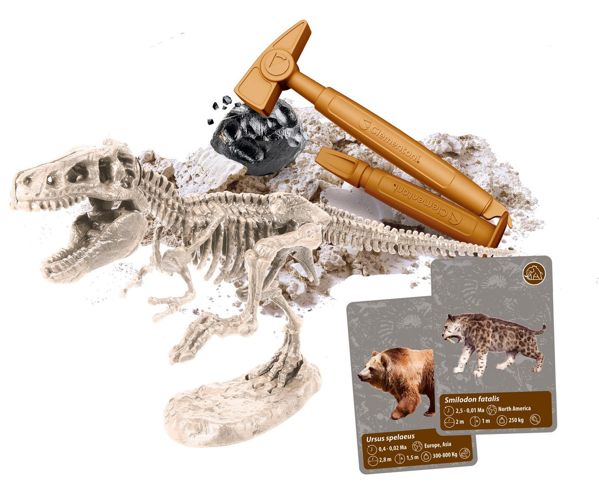 History Of Life On Earth Science Set