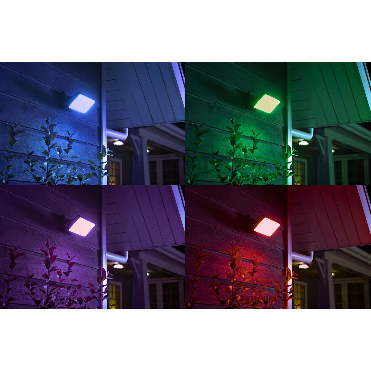 Hue Discover Spotlight White/Color 230V