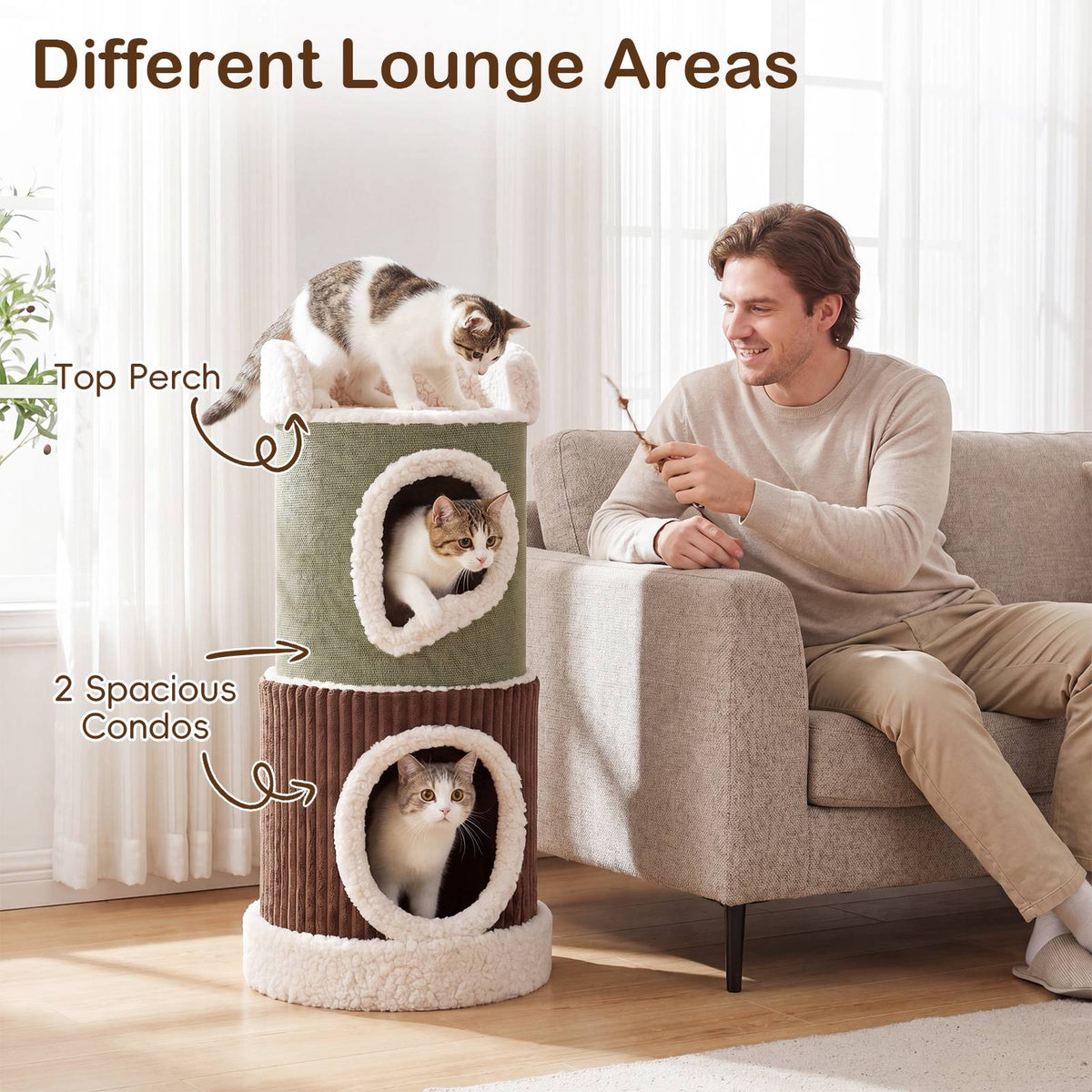 Indoor Cat House With Top Perch, Double Condos