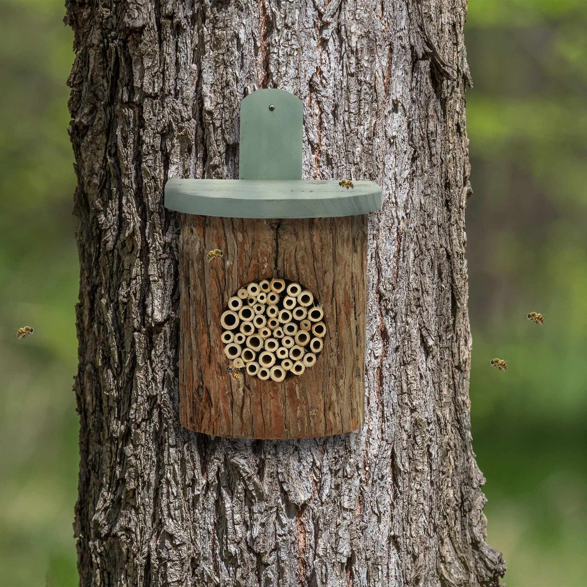 Insect hotel for bees