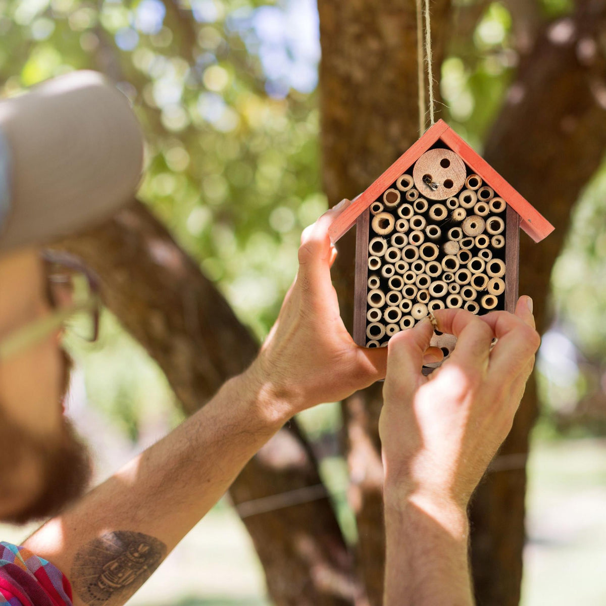 Insect hotel for wild bees