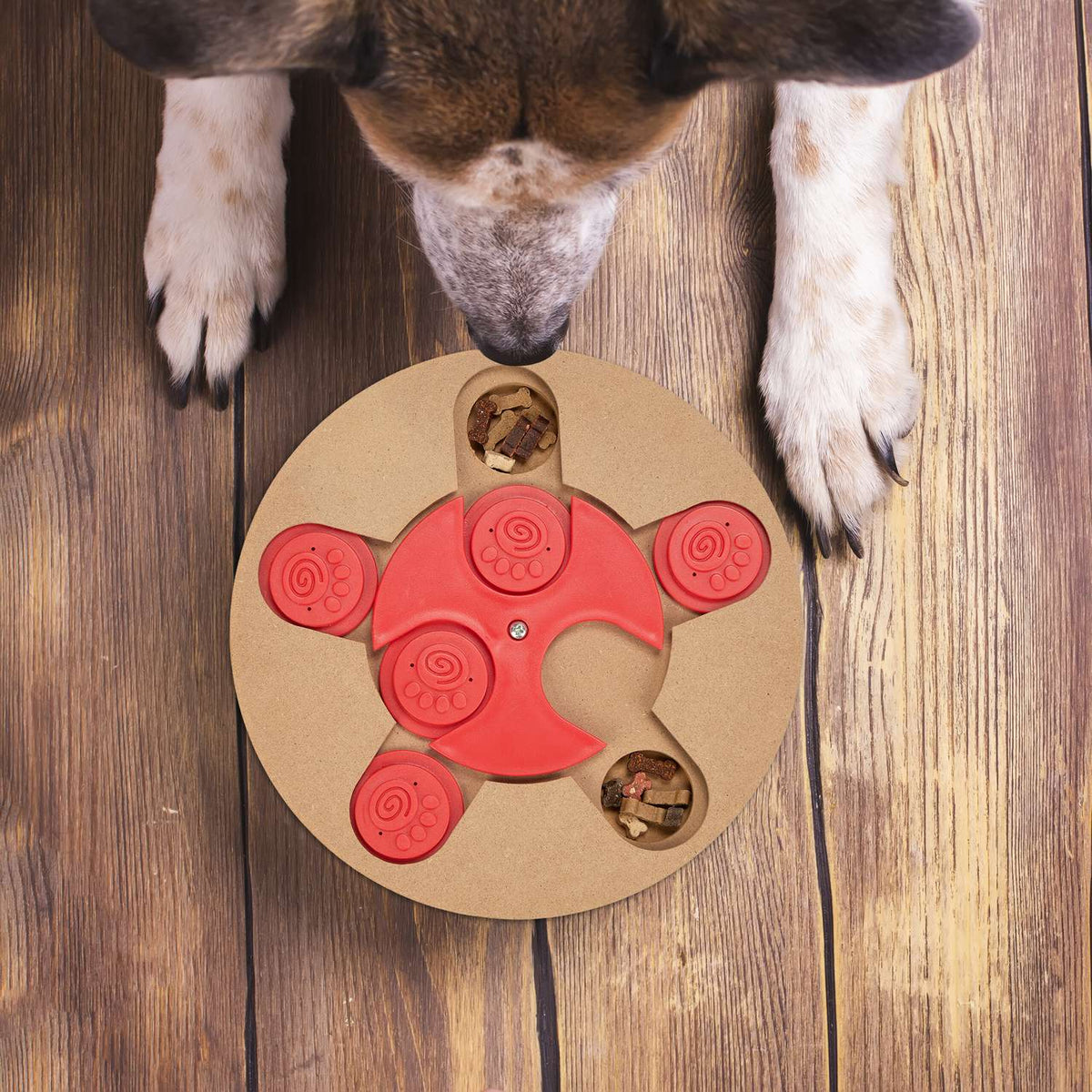 Intelligent toys for dogs