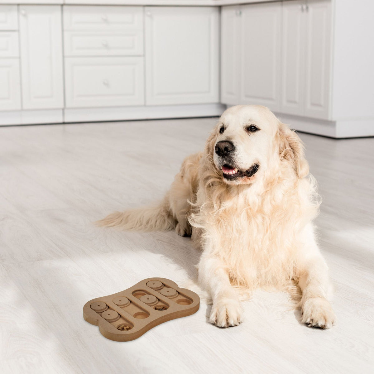 Intelligent toys for dogs