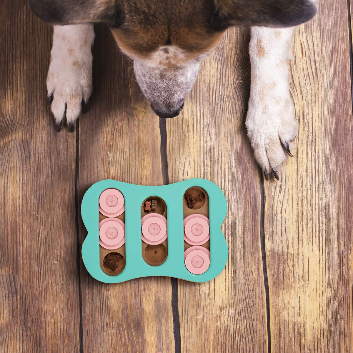 Intelligent toys for dogs