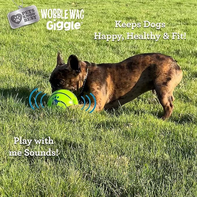Interactive Dog Toy Ball – Giggle Sounds, No Batteries Needed