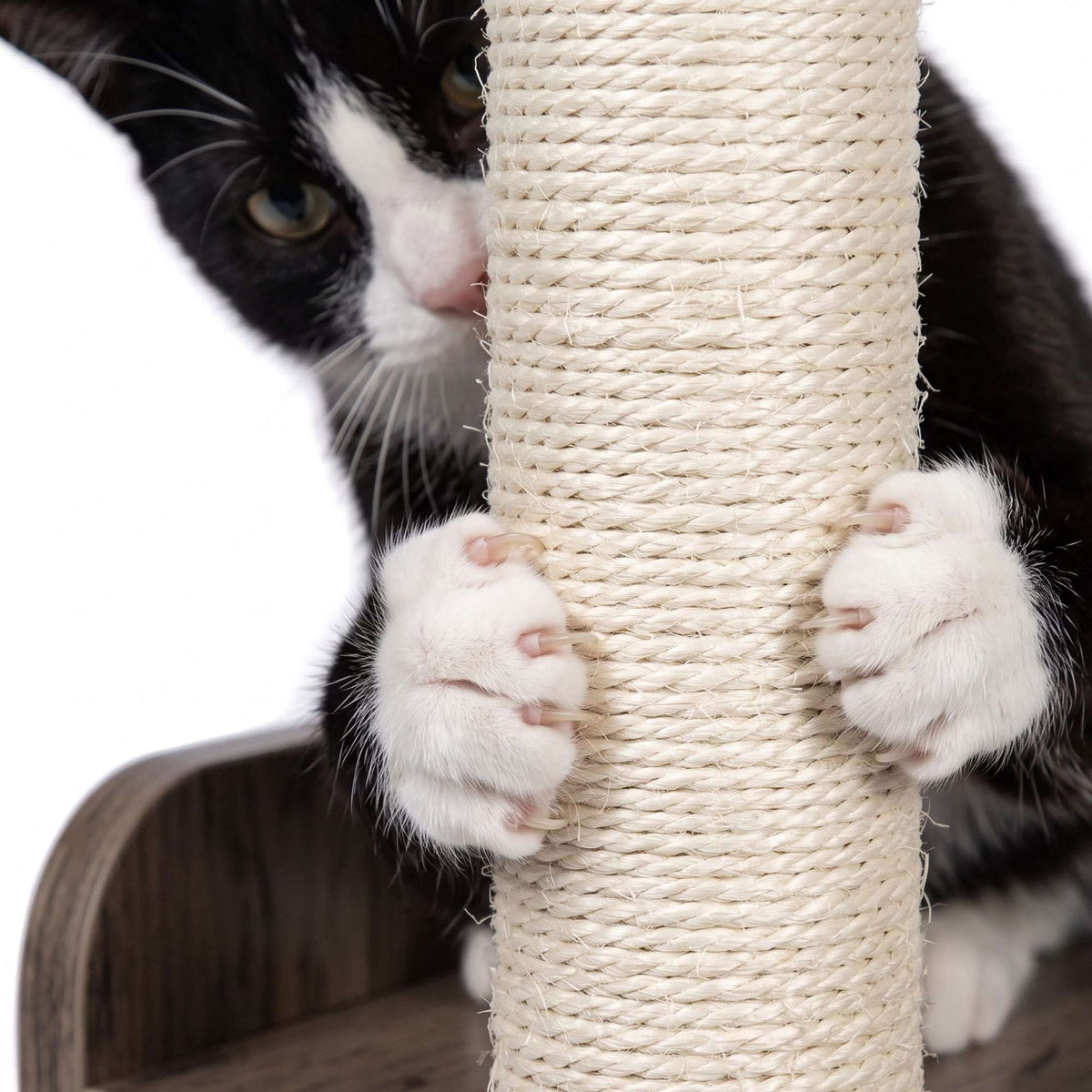 Large Cat Tree with Litter Cabinet, Sisal Posts & Toys