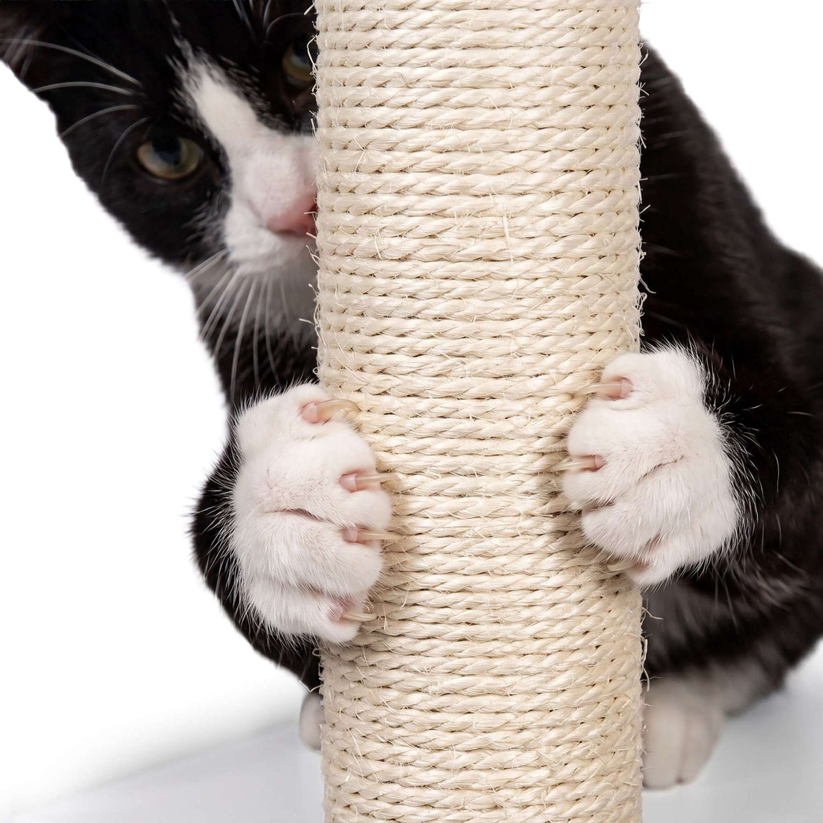 Large White Cat Tree with Litter Tray and Sisal Posts
