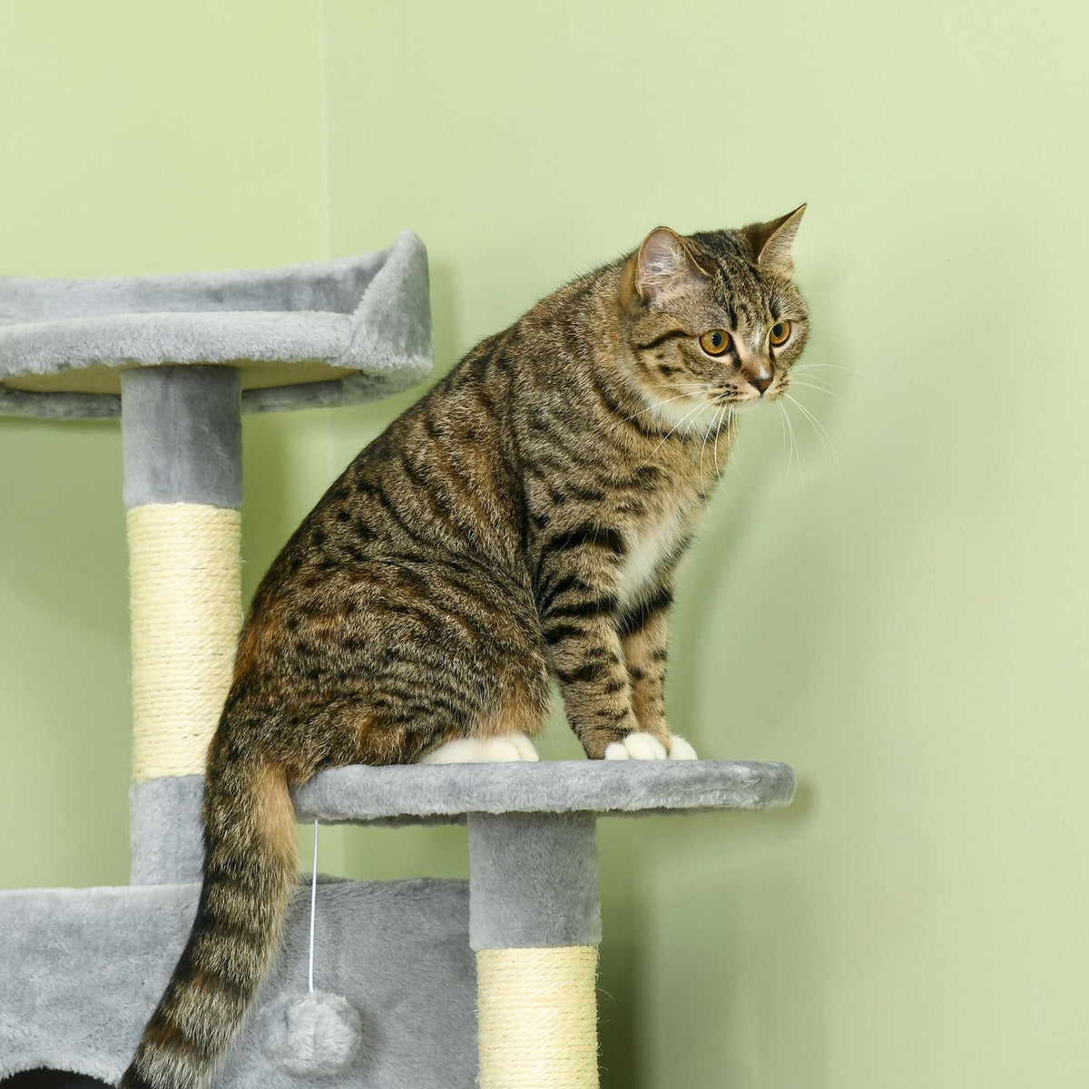 Large scratching post, 200H cm, XXL cat tree with cat caves, hammocks, cat scratching post for large cats, stable, light gray