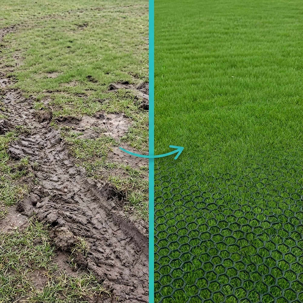 Lawn Stabilization Grid, Weather-Resistant Plastic