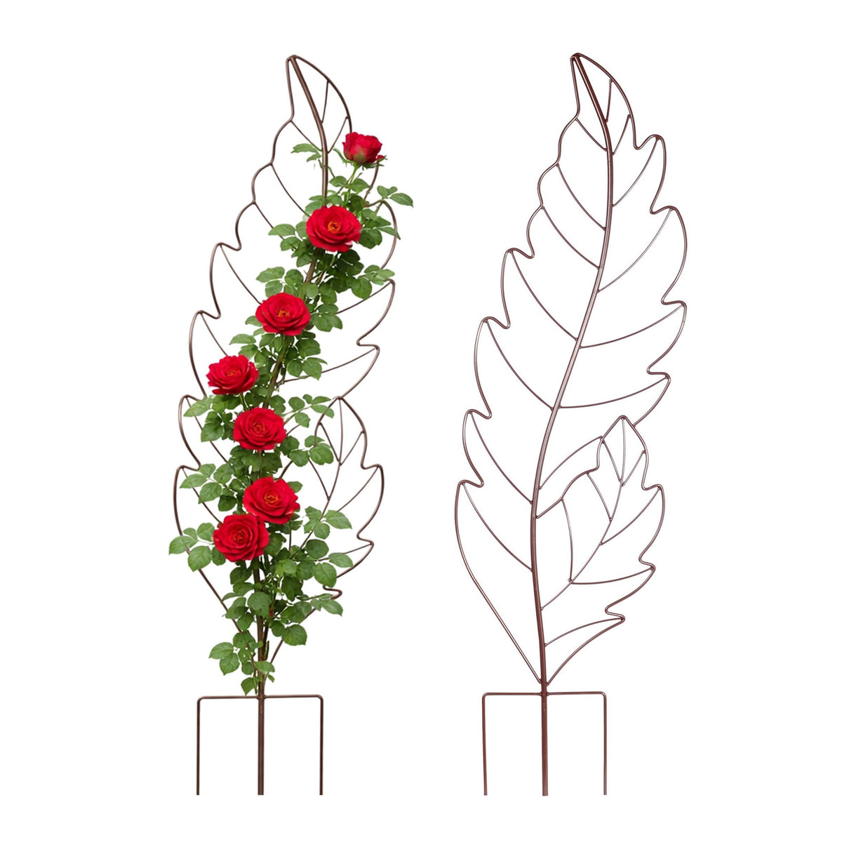 Leaf-Shaped Metal Trellis Set for Climbing Plants